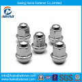 Made in China Stainless Steel Long Dacorated Cap Nuts